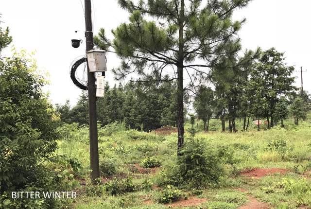 Une caméra de surveillance placée à proximité de sa tombe